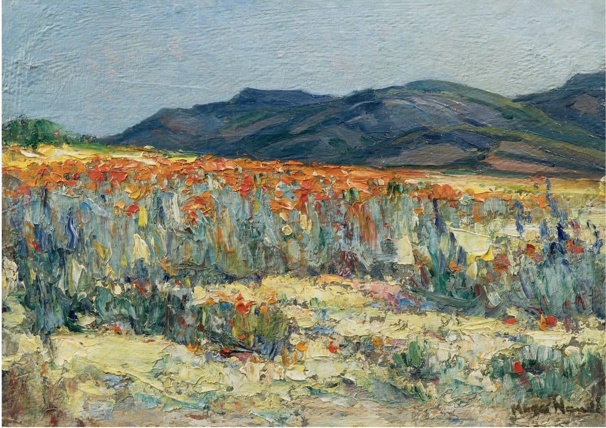 Le Namaqualand au printemps, peint vers 1900 : un tapis de fleurs orange sous des collines sèches